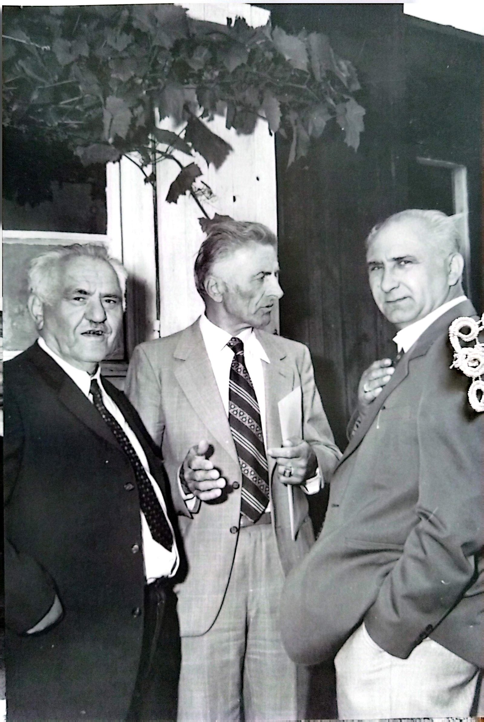 ПОЧЕЦИ — фотографија 36