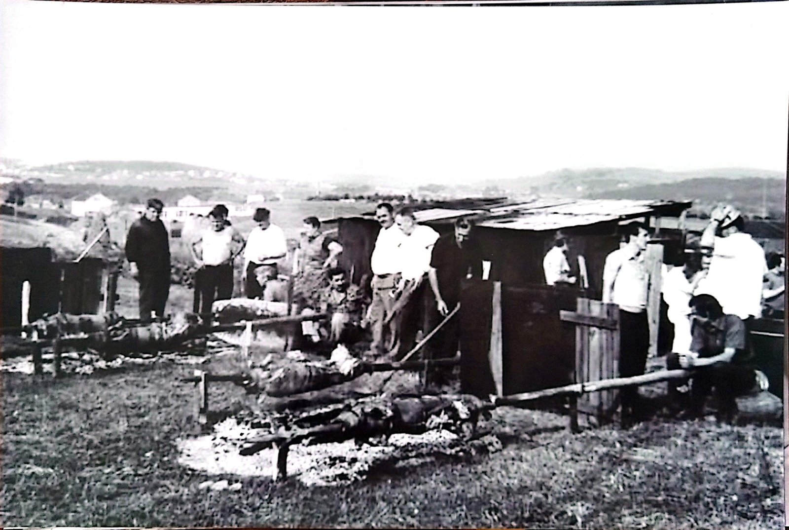 ПОЧЕЦИ — фотографија 72