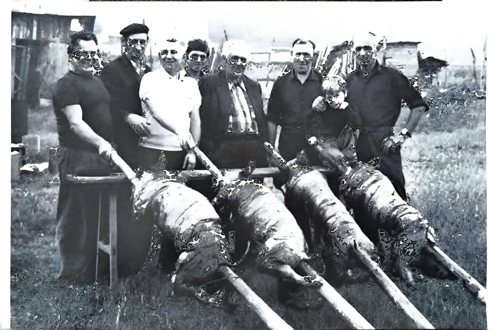 ПОЧЕЦИ — фотографија 77